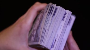500 LEI banknot ayrıntıları - Romanya parası, enflasyon ve ekonomi konsepti