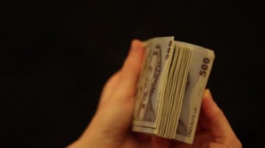 500 LEI banknot ayrıntıları - Romanya parası, enflasyon ve ekonomi konsepti