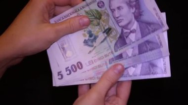 500 LEI banknot ayrıntıları - Romanya parası, enflasyon ve ekonomi konsepti