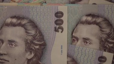 500 LEI banknot ayrıntıları - Romanya parası, enflasyon ve ekonomi konsepti