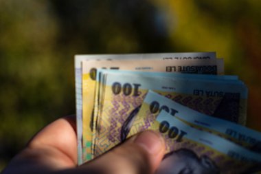 Romanya LEI Para Birimi Banknotu. RON Para Birimi