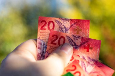 İsviçre frangı banknotları. CHF Para Birimi