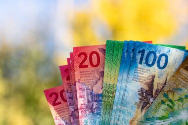 İsviçre frangı banknotları. CHF Para Birimi