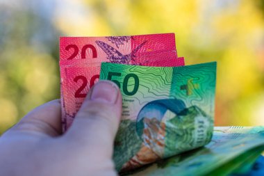 İsviçre frangı banknotları. CHF Para Birimi