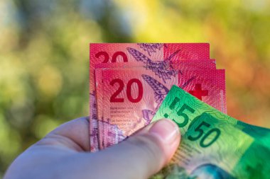 İsviçre frangı banknotları. CHF Para Birimi