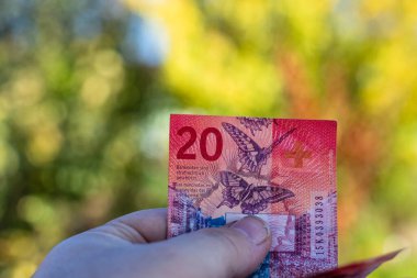 İsviçre frangı banknotları. CHF Para Birimi