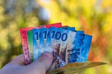 İsviçre frangı banknotları. CHF Para Birimi