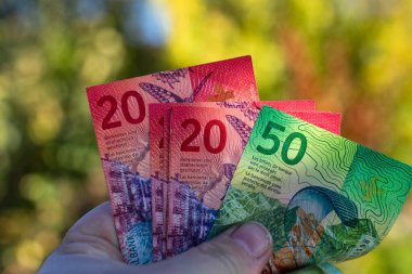 İsviçre frangı banknotları. CHF Para Birimi