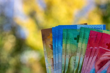 İsviçre frangı banknotları. CHF Para Birimi
