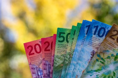 İsviçre frangı banknotları. CHF Para Birimi