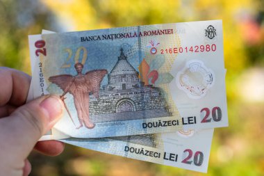 Romanya LEI Para Birimi Banknotu. RON Para Birimi