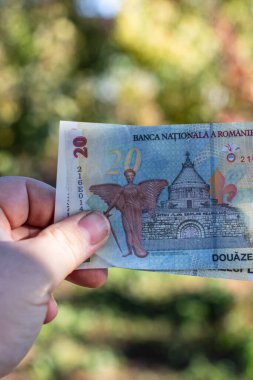 Romanya LEI Para Birimi Banknotu. RON Para Birimi
