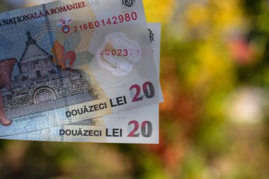 Romanya LEI Para Birimi Banknotu. RON Para Birimi