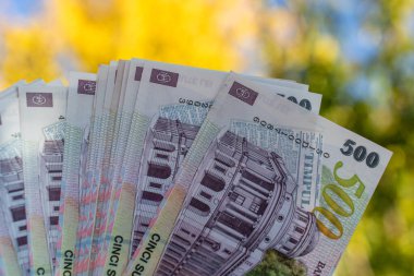 Romanya LEI Para Birimi Banknotu. RON Para Birimi