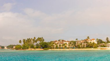 Barbados Adası 'nın Sandy Paradise Plajı, Karayip Adası