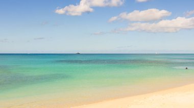Barbados Adası 'nın Sandy Paradise Plajı, Karayip Adası