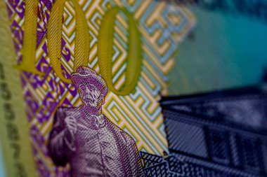 LEI para banknotları, RON 'un detaylı fotoğrafı. Romanya para birimi