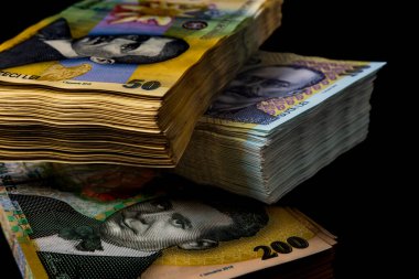 LEI para banknotları, RON 'un detaylı fotoğrafı. Romanya para birimi