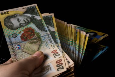 LEI para banknotları, RON 'un detaylı fotoğrafı. Romanya para birimi