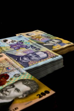 LEI para banknotları, RON 'un detaylı fotoğrafı. Romanya para birimi