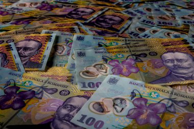 LEI para banknotları, RON 'un detaylı fotoğrafı. Romanya para birimi