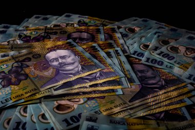 LEI para banknotları, RON 'un detaylı fotoğrafı. Romanya para birimi