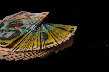 LEI para banknotları, RON 'un detaylı fotoğrafı. Romanya para birimi