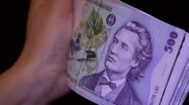 500 LEI banknot ayrıntıları - Romanya parası, enflasyon