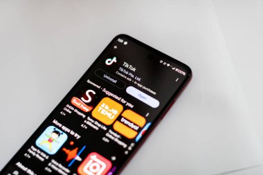Romanya seçimlerinde kullanılan TikTok sosyal medya uygulaması