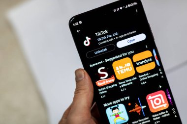 Romanya seçimlerinde kullanılan TikTok sosyal medya uygulaması