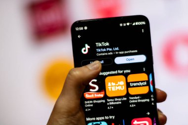 Romanya seçimlerinde kullanılan TikTok sosyal medya uygulaması