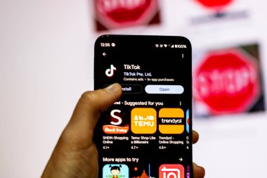 Romanya seçimlerinde kullanılan TikTok sosyal medya uygulaması