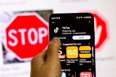 Romanya seçimlerinde kullanılan TikTok sosyal medya uygulaması