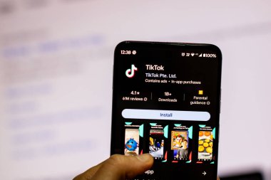 Romanya seçimlerinde kullanılan TikTok sosyal medya uygulaması