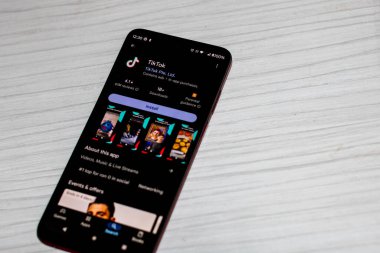 Romanya seçimlerinde kullanılan TikTok sosyal medya uygulaması