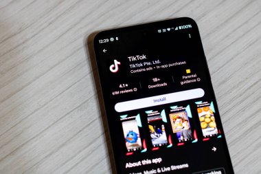 Romanya seçimlerinde kullanılan TikTok sosyal medya uygulaması
