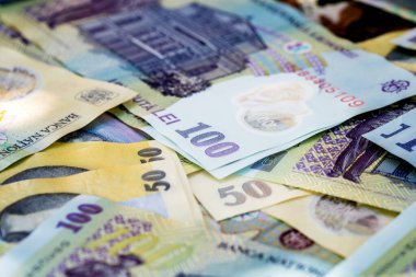 LEI para banknotları, RON 'un detaylı fotoğrafı. Romanya para birimi