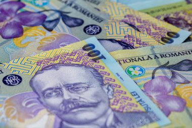 LEI para banknotları, RON 'un detaylı fotoğrafı. Romanya para birimi