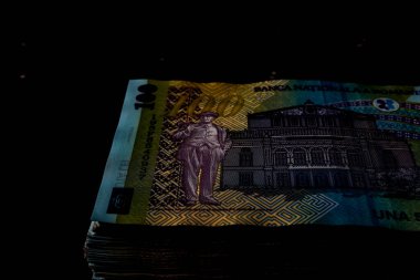 LEI para banknotları, RON 'un detaylı fotoğrafı. Romanya para birimi