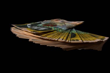 LEI para banknotları, RON 'un detaylı fotoğrafı. Romanya para birimi