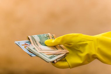 Amerikan doları banknotları, Amerikan dolarlarının detaylı fotoğrafları. Amerika Birleşik Devletleri para birimi