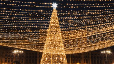 Bükreş Noel Pazarı 'nda Noel ağacının önündeki insanlar