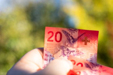 İsviçre frangı banknotları. CHF Para Birimi