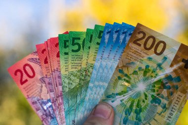 İsviçre frangı banknotları. CHF Para Birimi