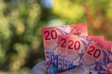 İsviçre frangı banknotları. CHF Para Birimi