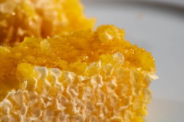 Bal peteğinden eriyen kalın bal. Sağlıklı gıda konsepti