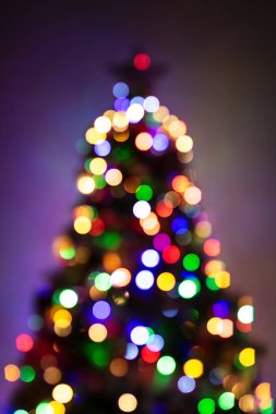 Noel ağacındaki fokes süslemelerden. Noel ağacı, hediyeli kutular, yeni yıl heykelcikleri ve dekorları..