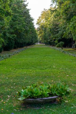 Green landscape near the lake in Cismigiu Garden (Gradina Cismigiu), a public park in the city center of Bucharest clipart