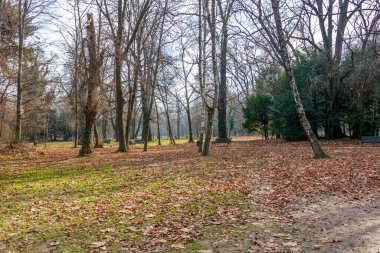 Bükreş Botanik Bahçesinde sonbahar renkleri