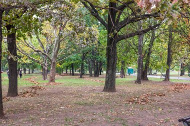 Green landscape near the lake in Cismigiu Garden (Gradina Cismigiu), a public park in the city center of Bucharest clipart